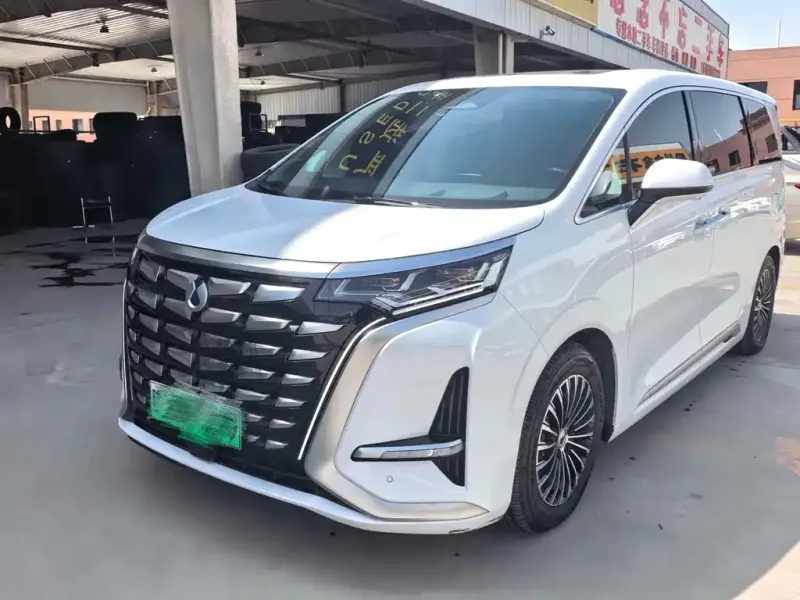 Denza D9, 2024