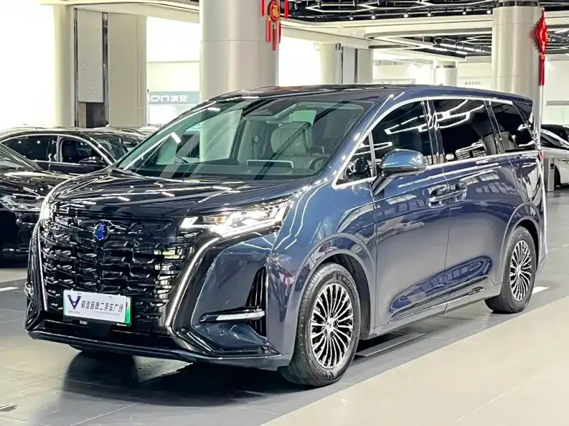 Denza D9, 2024