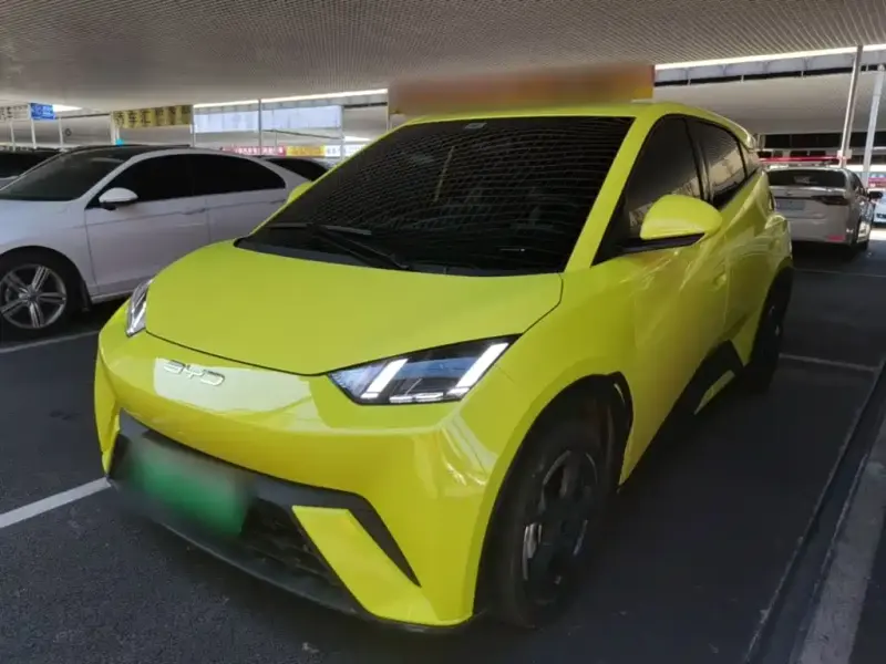 BYD Seagull, 2023
