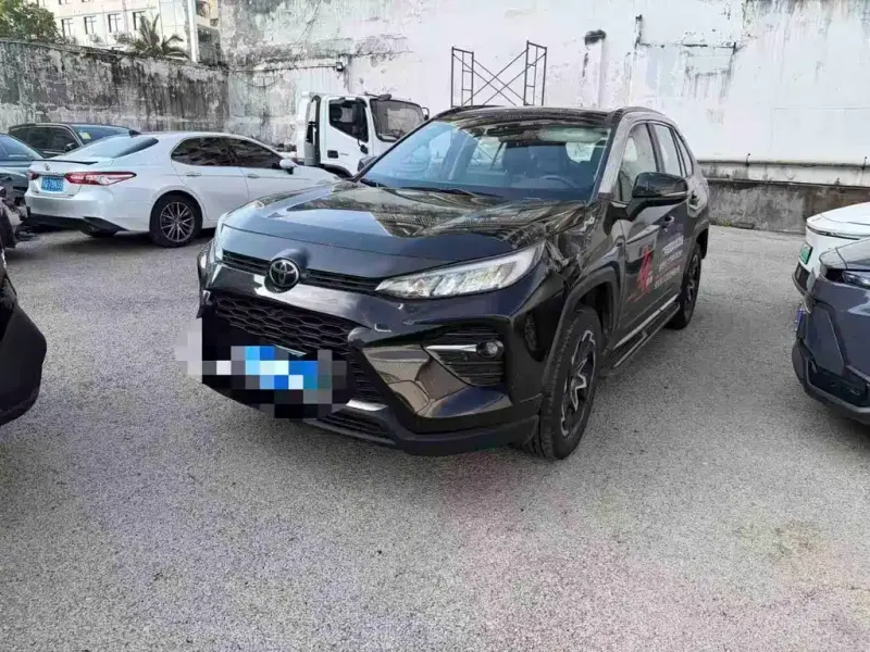Toyota Wildlander, 2020