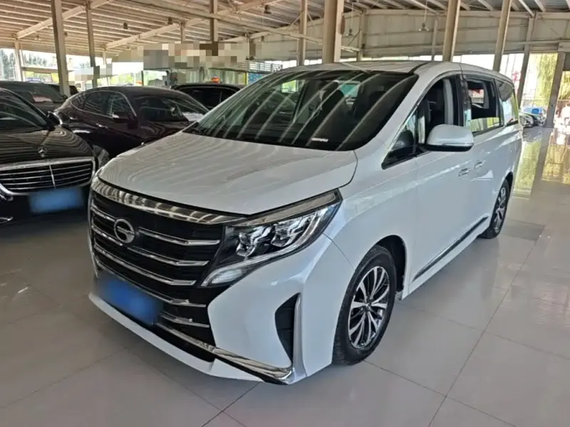 GAC Motor Trumpchi M8 GAC Trumpchi M8 2024 Leader Show Series 390T Luxury Edition, 2024 — фото 1