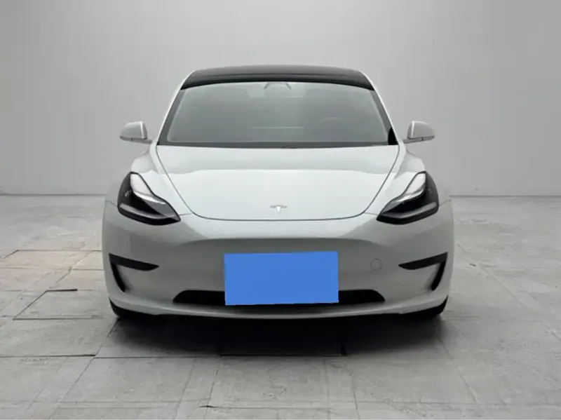 Tesla Model 3, 2020