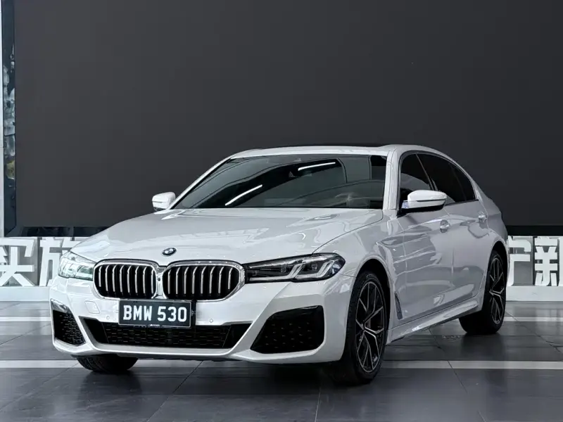 BMW 5 Series, 2021