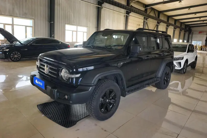 Tank 300, 2021