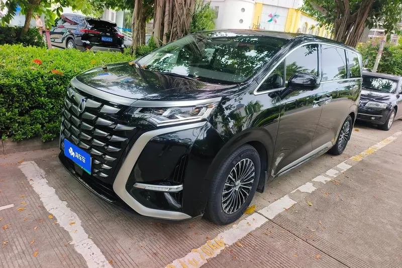 Denza D9 DM, 2024