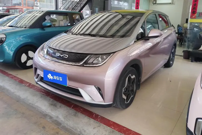 BYD Dolphin, 2021