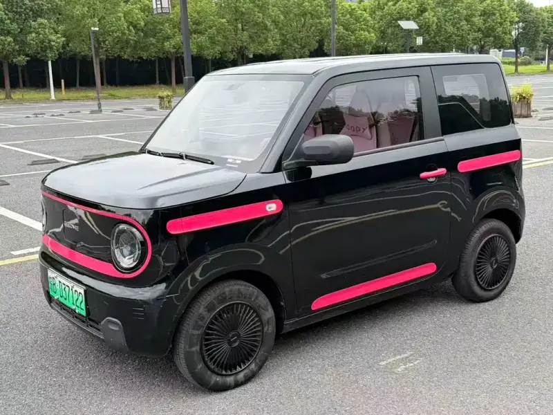 Galaxy Panda BYD Panda 2023 Panda mini 200km Endurance Bear, 2024 — фото 1