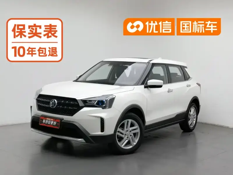 Venucia T60, 2019