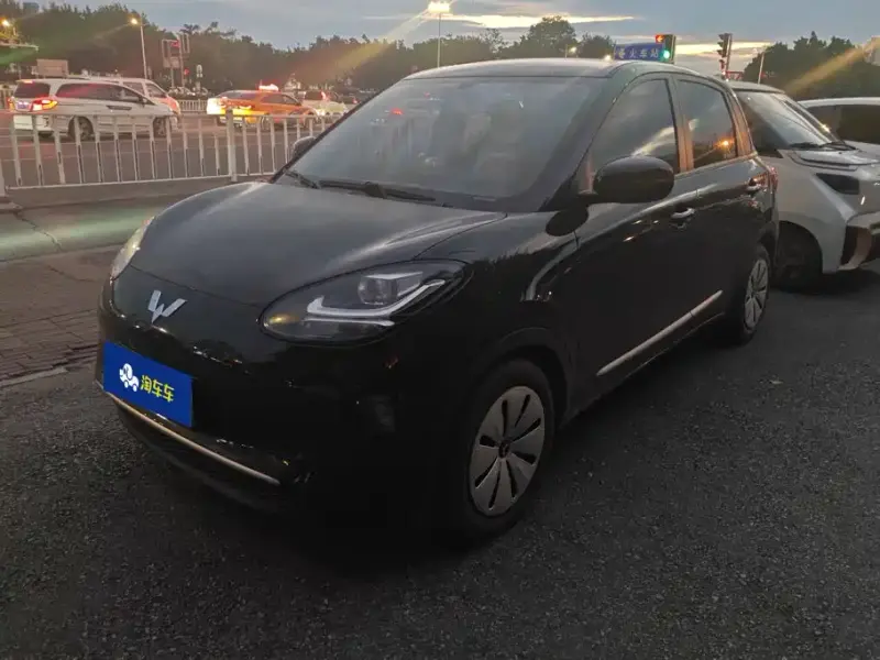 Wuling Bingo, 2024