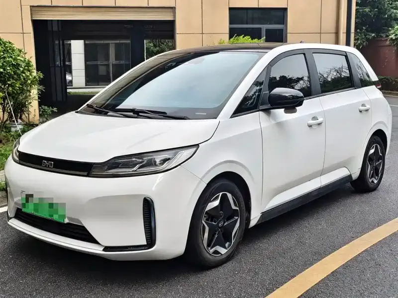 BYD D1, 2020