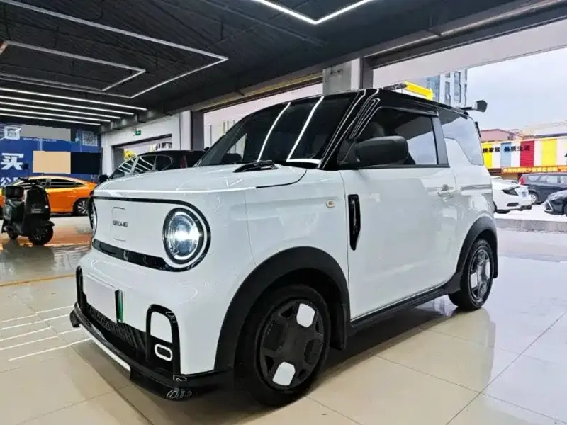 Galaxy Panda, 2025