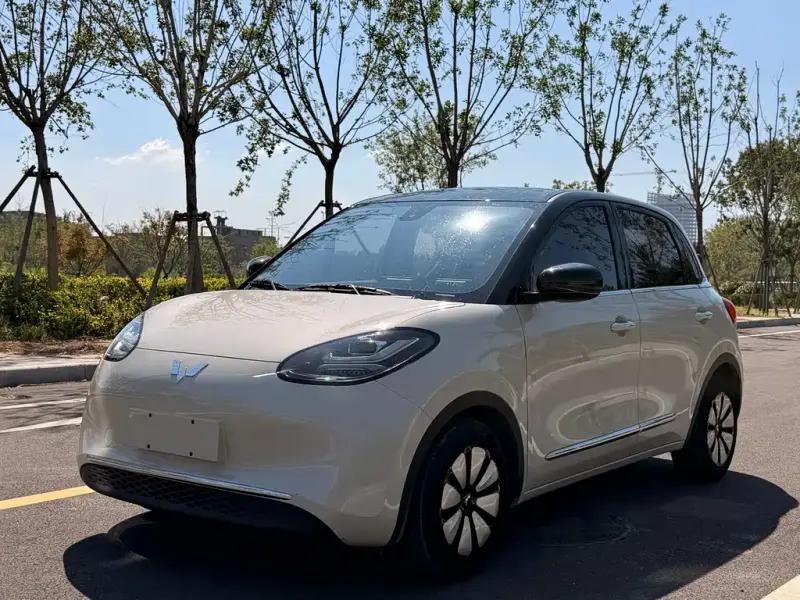 Wuling Bingo, 2023