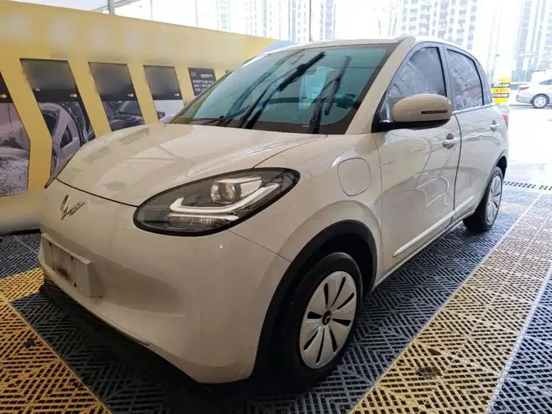 Wuling Bingo, 2024
