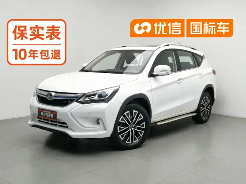 BYD New Energy, 2017