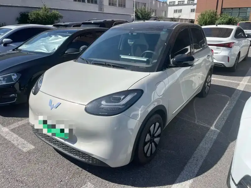 Wuling Bingo, 2024