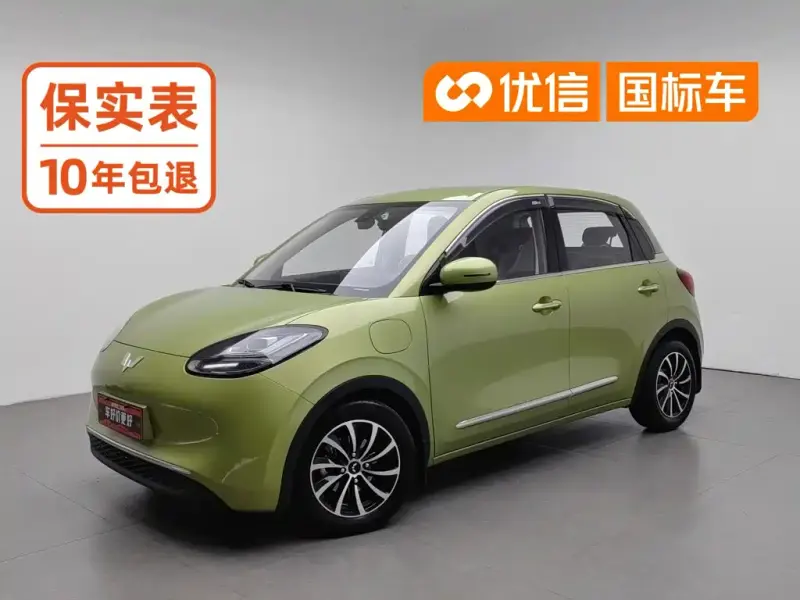 Wuling Bingo, 2023