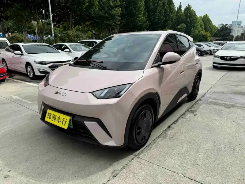 BYD Seagull, 2024