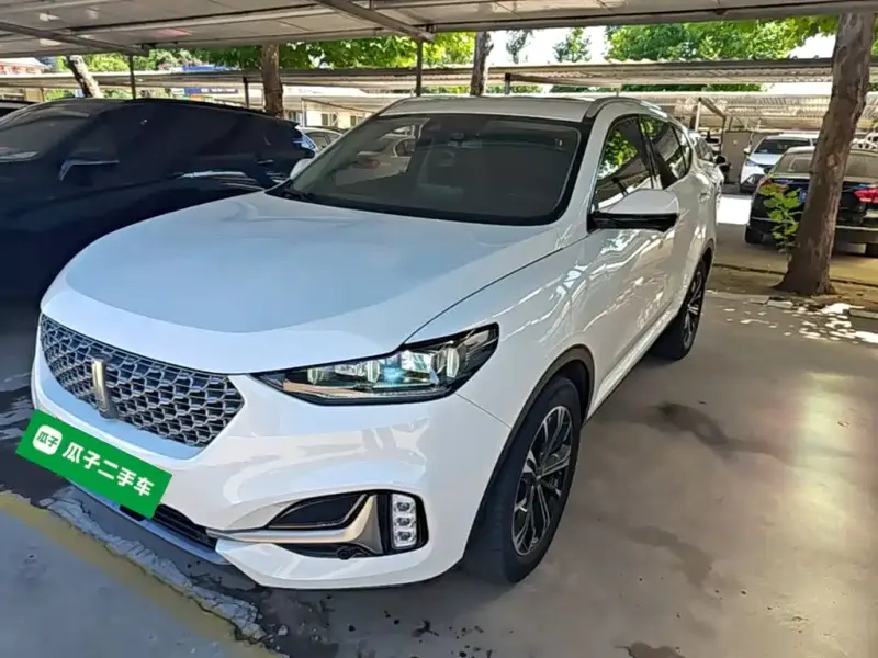 Wey VV6, 2020