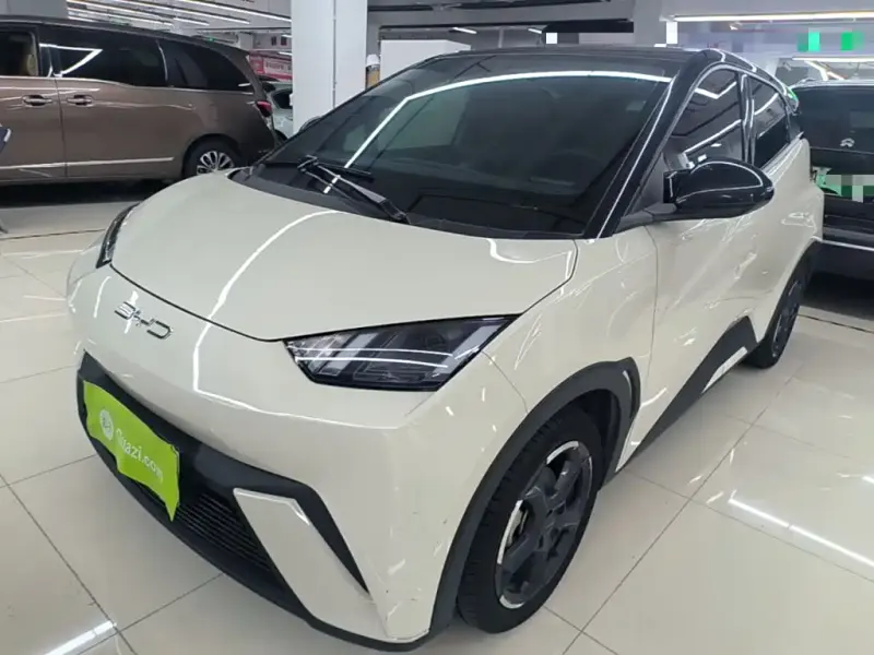 BYD Seagull, 2023