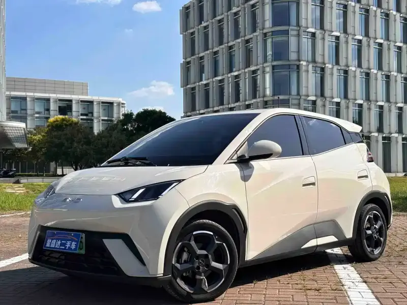 BYD Seagull, 2023