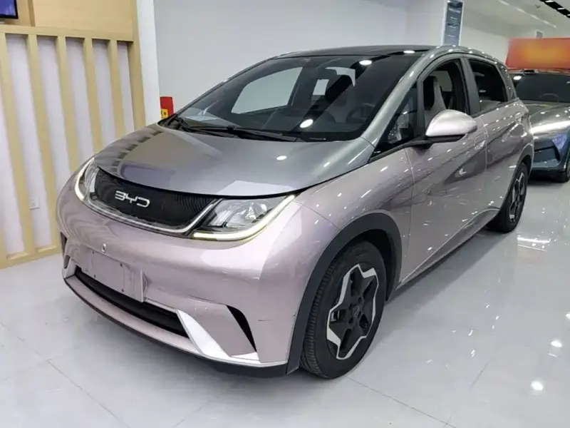 BYD Dolphin, 2022