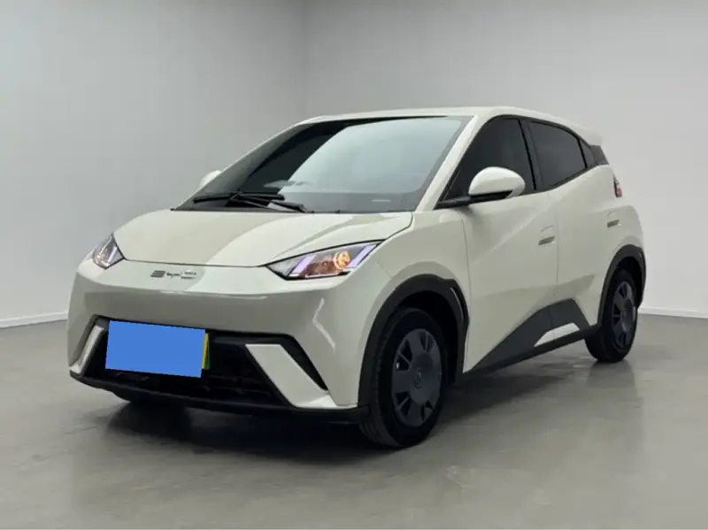 BYD Seagull, 2024