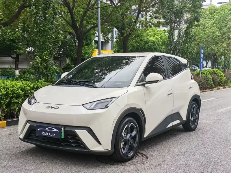 BYD Seagull, 2024