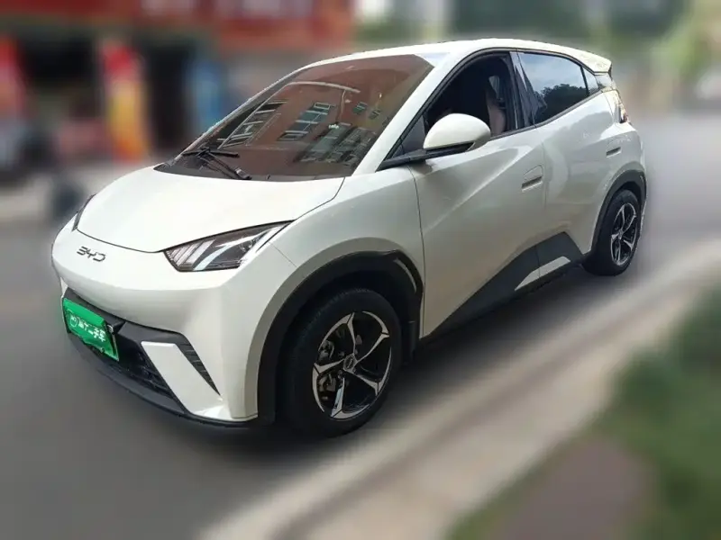 BYD Seagull, 2024