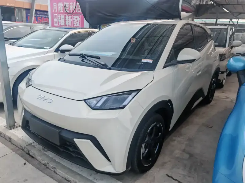 BYD Seagull, 2024
