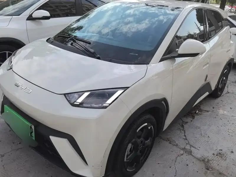 BYD Seagull, 2023