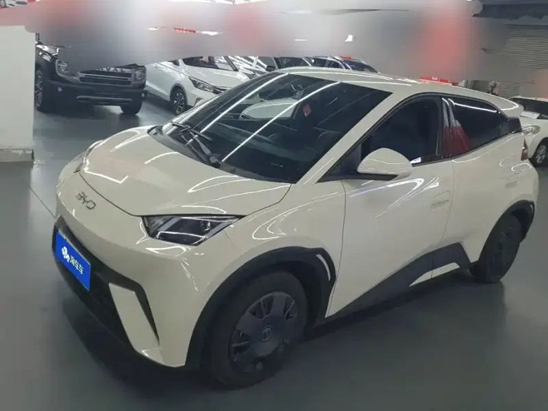 BYD Seagull, 2025