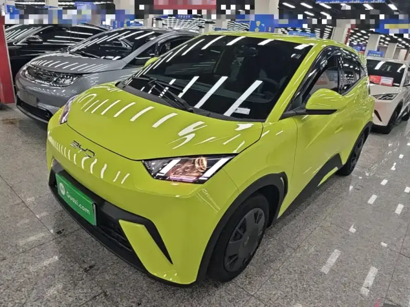 BYD Seagull, 2024