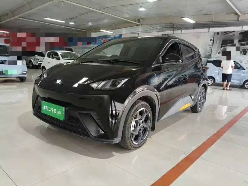 BYD Seagull, 2024