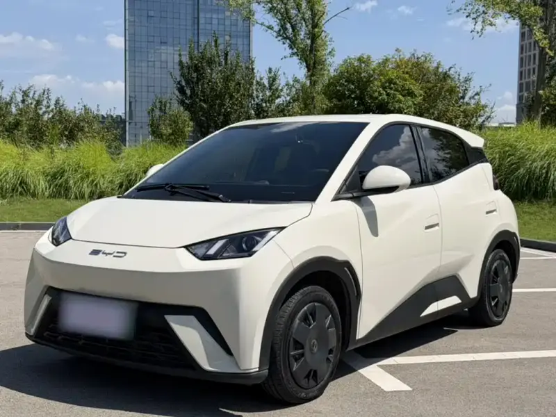 BYD Seagull, 2024