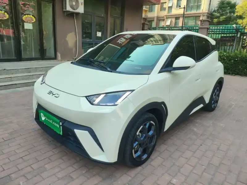 BYD Seagull, 2024