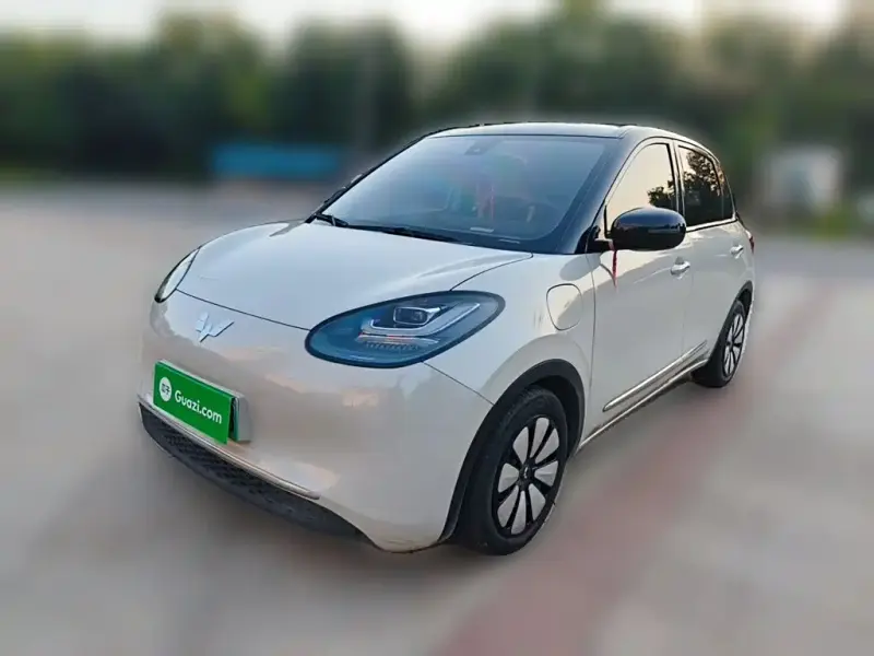 Wuling Bingo, 2023