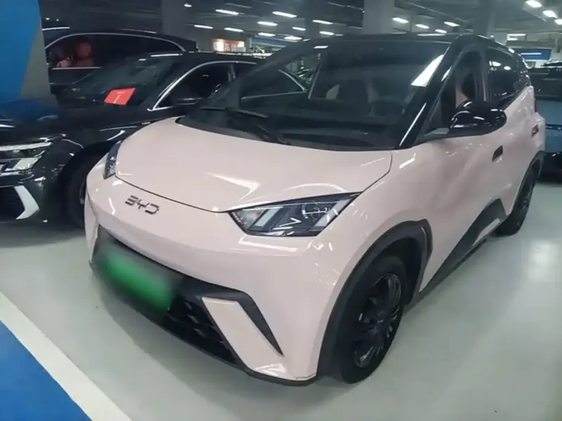 BYD Seagull, 2024