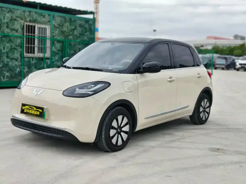 Wuling Bingo, 2025
