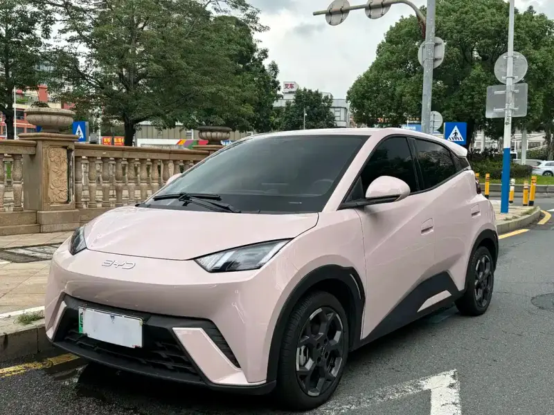 BYD Seagull, 2025