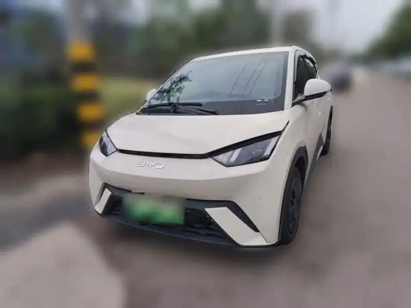 BYD Seagull, 2025