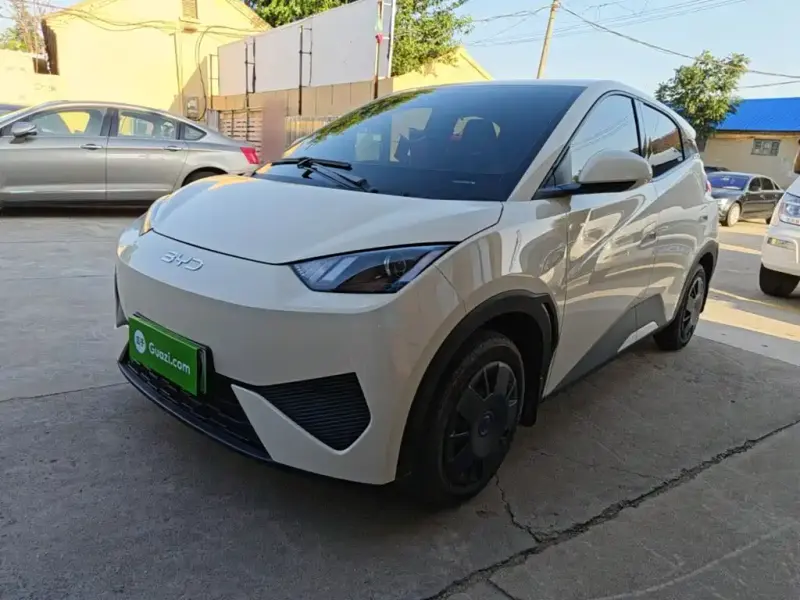 BYD Seagull, 2025