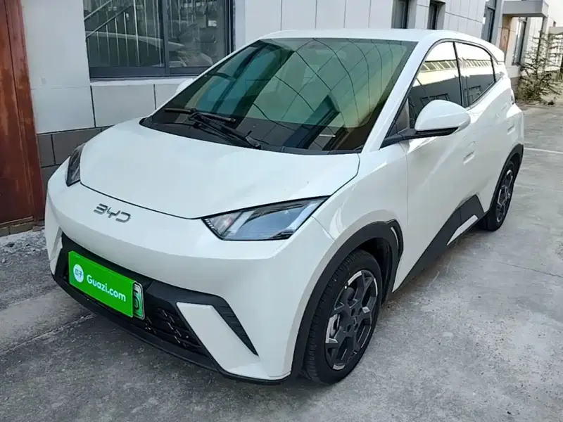 BYD Seagull, 2024