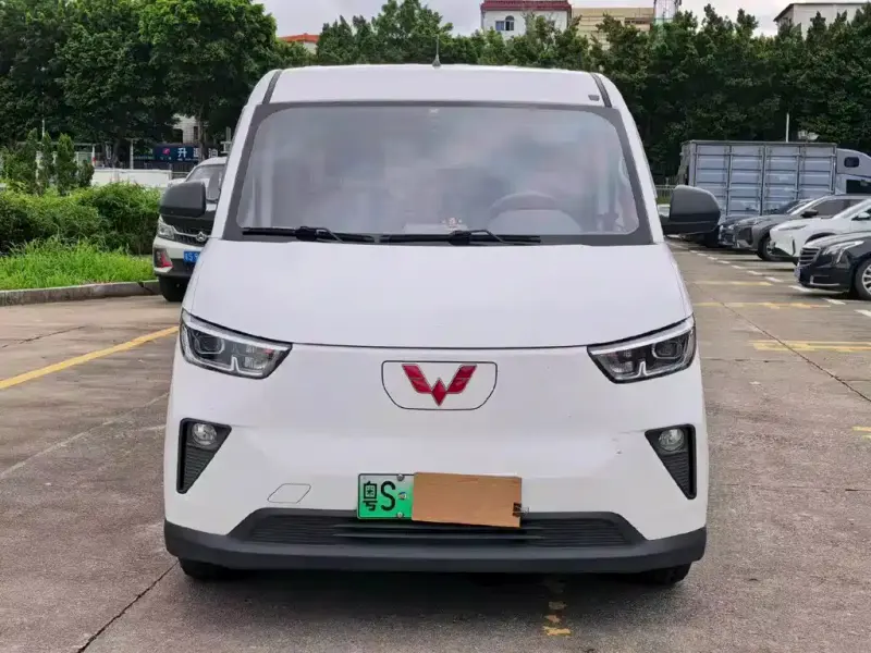 Wuling Yangguang, 2024