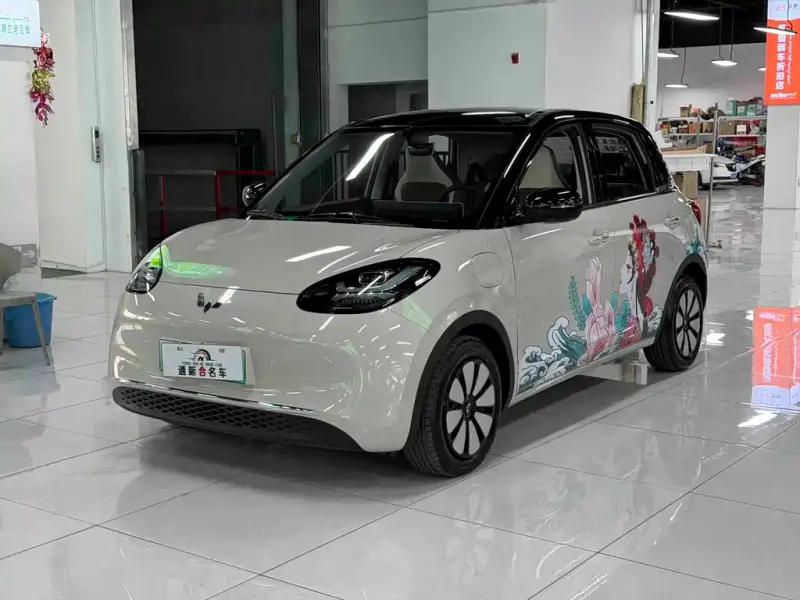 Wuling Bingo, 2024