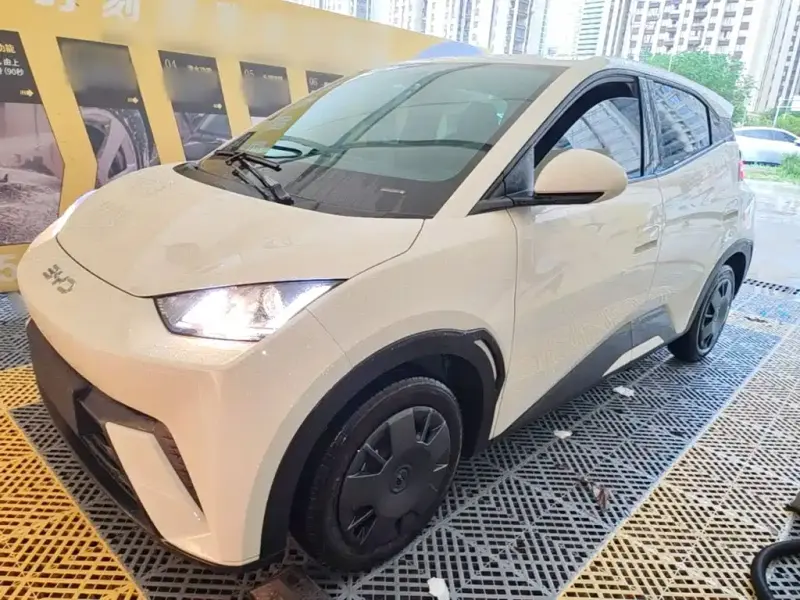BYD Seagull, 2025