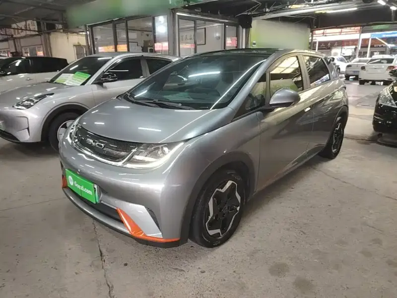 BYD Dolphin, 2022