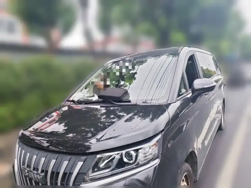 BAW Ruisheng Ace M7, 2023