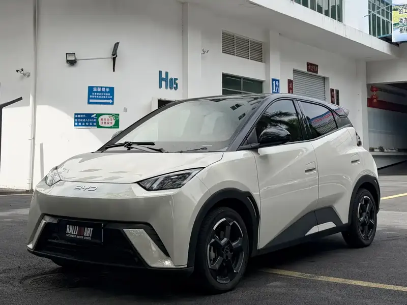BYD Seagull, 2024