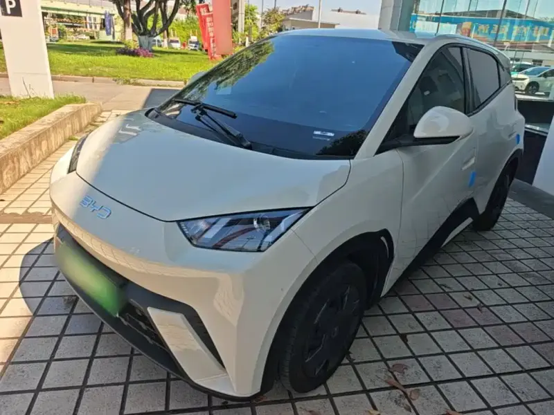 BYD Seagull, 2024