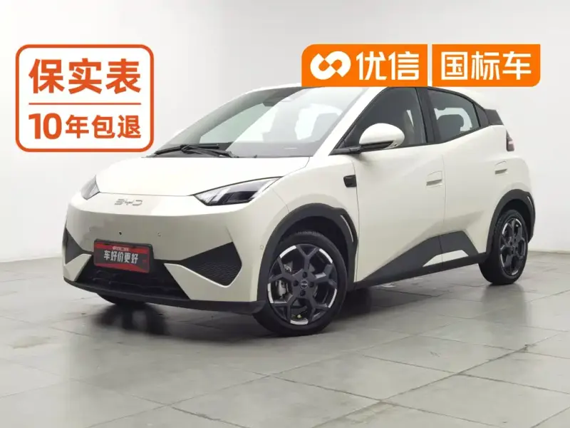 BYD Seagull, 2025